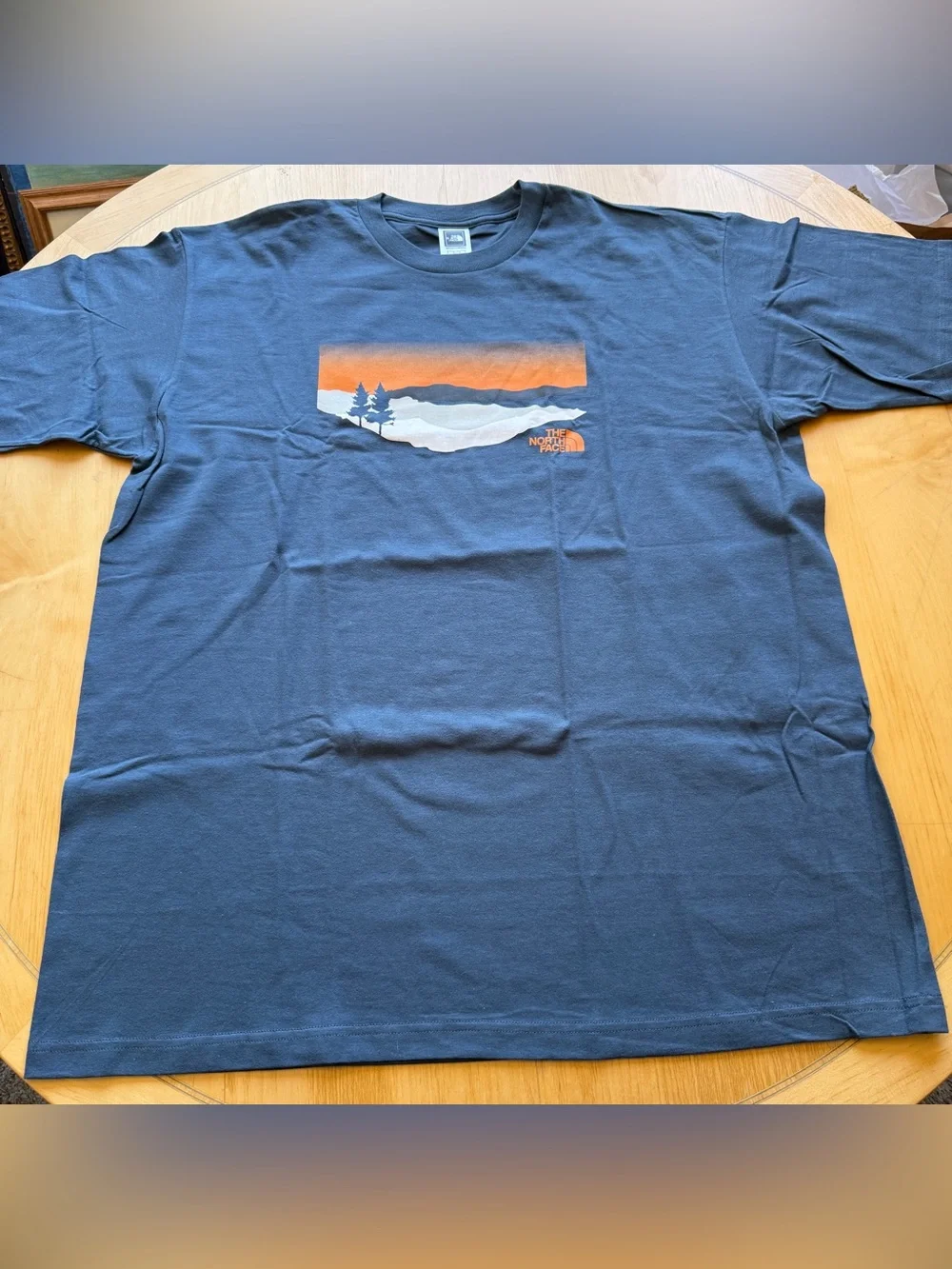 The North Face Mountain Sunset Graphic Tee Blue XL